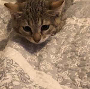 Meet your Posher, Mela